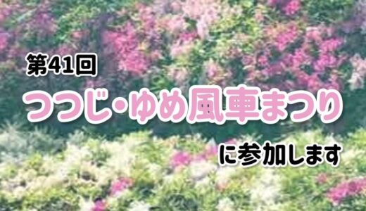 第41回 つつじ･ゆめ風車まつりに参加します 5/2