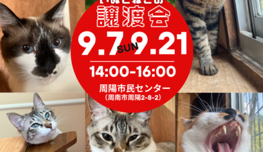 9月譲渡会 開催のお知らせ